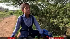 يمن