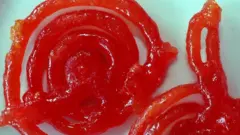 جلیبی