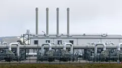 The receiving station for the controversial Nord Stream 2 gas pipeline stands on March 9, 2022 near Lubmin, Germany.