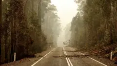 பெருந்தீ பரவ வாய்ப்பு