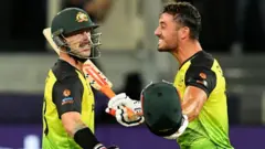 मॅथ्यू वेड आणि मार्कस स्टॉयनिस