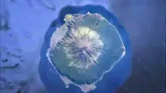 th