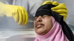 कोरोना व्हायरस