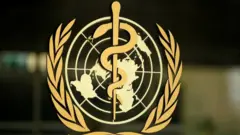 WHO logo