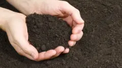 tierra