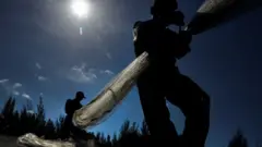 ilustrasi awak kapal