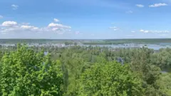 десна