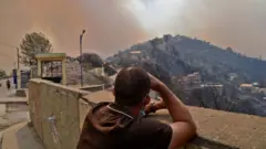 حرائق كبيرة في الجزائر