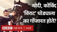 विराट घोडा