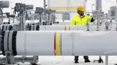 روس گیس پلانٹ