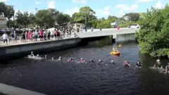 spasavanje delfina