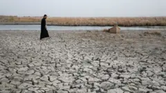 العراق