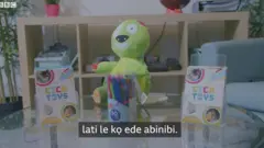 CICa Toys