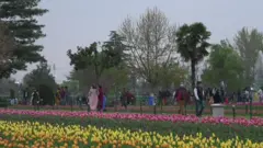 कश्मीर की हसीन वादियां एक बार फिर गुलज़ार हो गई हैं.