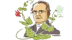 Ilustración de Mendel con arvejas