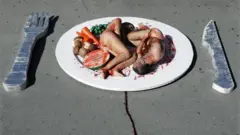 သက်သတ်လွတ်၊ တိရစ္ဆာန်၊ အသီးအရွက်