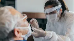 PCR