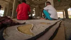 Godaantoota Adan keessa gamoowwan ijaaramanii hinxumuramne keessa bulan