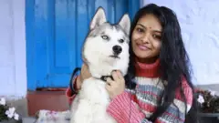 సైబీరియన్ హస్కీ అయిన జైరాను ఆర్య యుక్రెయిన్ నుంచి భారత్‌కు తీసుకొచ్చారు
