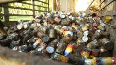 නරක් වූ ටින් මාළු