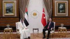 إردوغان وبن زايد