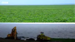 ጣና ሐይቅ