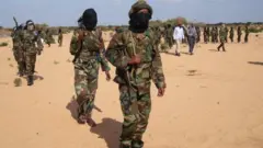 ኣባላት ኣልሸባብ