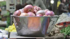 ડુંગળી