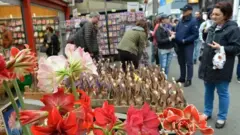 Amsterdam Çiçek Pazarı