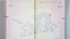 Belçika pasaportu