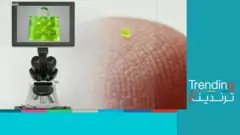 بأكثر من 63 ألف دولار.. بيع حقيبة يد أصغر من حبة الملح وعليها شعار "لوي فيتون"