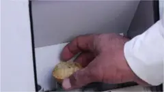 પાણીપૂરી