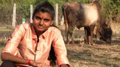 ஜல்லிக்கட்டு