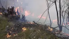 Yardımlı