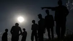 افغانان