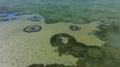 Болото