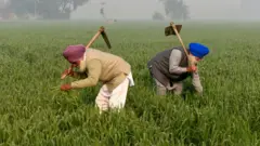 விவசாயிகள்