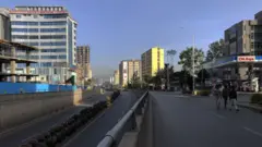 የአዲስ አበባ ከተማ