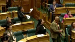 اعتراض نمایندگان مائوری پارلمان نیوزیلند با رقص هاکا