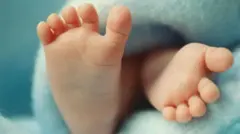 아기의 발바닥 