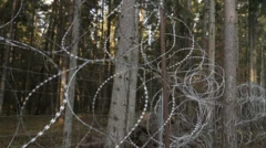 Cerca de arame farpado em bosque