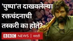 रक्तचंदन