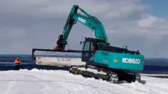 Леви