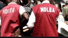 NDLEA