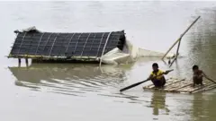 বন্যা।
