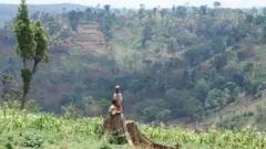 Bosona Mawu
