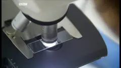 DNA lab