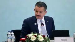 pakdemirli