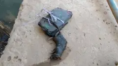 चूहा