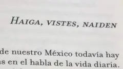 Print de pantalla de "haiga, vistes, naiden".